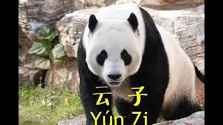 How to pronounce Yun Zi in Chinese