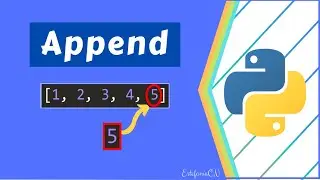 How to write() a file? How to append() a file in Python?