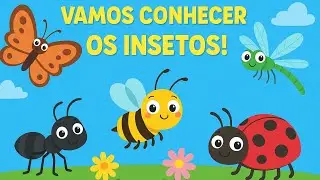 Vamos aprender os insetos | Educação Infantil