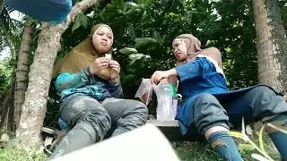 menanam padi tradisional| bantu ibu di sawah
