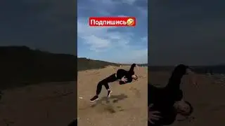 КОРОЛЕВСКОЕ САЛЬТО