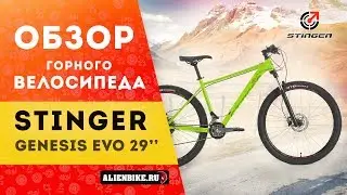 Горный велосипед Stinger Genesis Evo 29