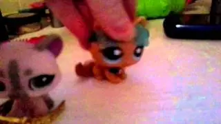 Lps welcome to the show