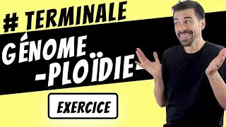 GÉNOME ET PLOÏDIE -TERMINALE-