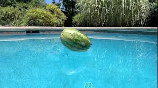 Big Melon!! @Splash Pool