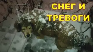 Днепр 19.11 ❄️❄️❄️ Снег и тревоги