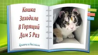 Кошка Заходила в Горящий Дом Пять раз!!! Реальная История Любви!
