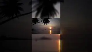Relaxing music for sleep and meditation 🧘‍♂️😌