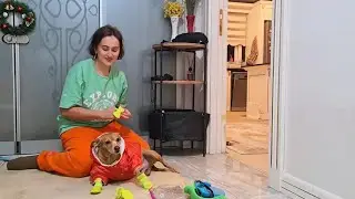 Новые костюмчики и ботиночки купила