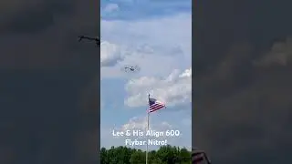 Flybar Align 600 Nitro!