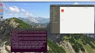Compile  AOSP 10: Putting the vendor files in the right place....