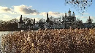 Кошачий монастырь в Подмосковье. Как живётся кошкам в Подмосковном монастыре?