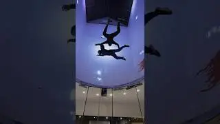 Taxi Fly - это уникальное развлечение для любителей экстрима👇 #windtunnel #indoorskydiving #полеты