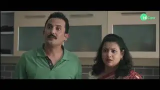 Safest Cockroach Control Service | HiCare Services Pvt Ltd