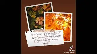 Autumn Season is a reminder….