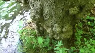 Река