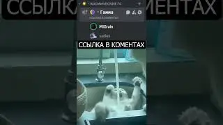 ШУТКИ ДИСКОРД №3 МЕМ #discord #юмор #дискорд #дискордсервер