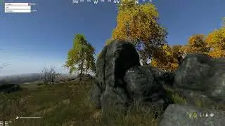 Just a normal DayZ wipe