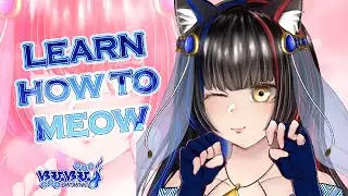 Learn How to Meow by SaySay