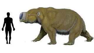 8 Giant Megafauna That Once Lived on Earth