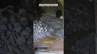 Ужасная находка под домом молодожен