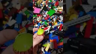 растение питается насекомыми лего
