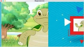 Видеозвонок черепашонка Пашки, часть 2