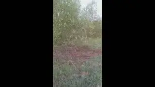 Видео друзей