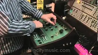 FM Mod on Dewanatron Swarmatron