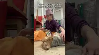 Уборка зашла слишком далеко