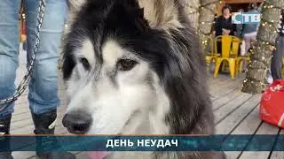 13.09.2024 Пятница 13-е – мистический день.