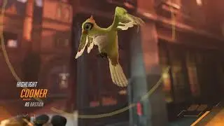 BASTION ONLY