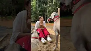 ОСКАР И ДЖОНИ СПАСЛИ ЛЕРУ😳