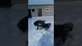 не равный бой))) 
