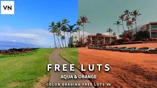 Bagi bagi Lut gratis | vlog now | vn
