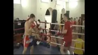 бои без правил мма  тайский боевое самбо -для всех