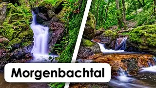 Fotografieren im Morgenbachtal