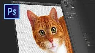 How to cut the background in Photoshop | Как вырезать фон в Фотошопе