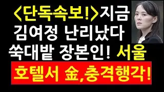 (단독속보!)지금 김여정 난리났다! 쑥대밭 장본인! 서울 호텔서 김여정 충격행각!