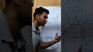 economiser Heat exchanger #shortsvideo #youtube #youtubeshorts #viral #viralshorts #shorts