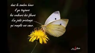couleurs de printemps en hiver