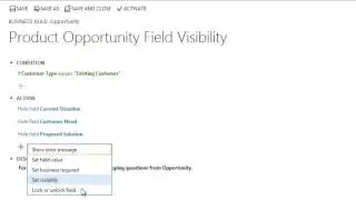 Microsoft Dynamics CRM 2013   Portable Business Logic