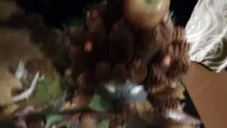 Моя поделка на тему 
