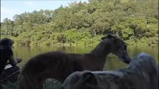 從回流水響