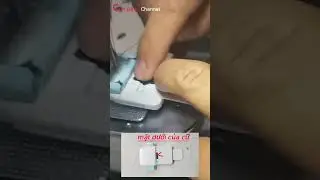 CỮ ĐÍNH BỌ DÂY KHUY #short@ConDangCaitien