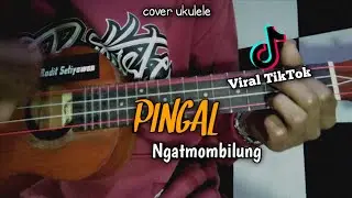 Virall TikTok || PINGAL-Ngatmombilung || Cover ukulele by Radit Setiyawan