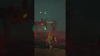 The Hero of Hyrule. 