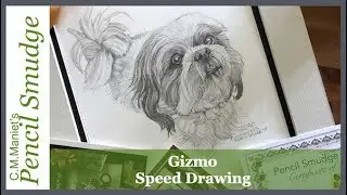 Pencil Smudge Gizmo Pet Portrait  by C.M.Maniet