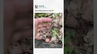 The ending was so cute 🥹