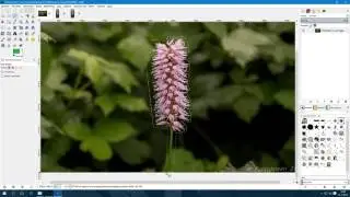 Gimp Selecteren en meer